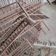Cage à oiseaux ancienne