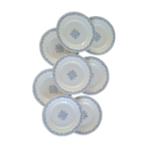Serving of 8 plates in iron earth