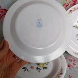 6 assiettes dessert Arcopal décor pomme fleur pommiers vaisselle ancienne elf