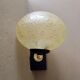 Walled glass bulled 1950