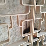Mid-Century Czech Wall or Room Divider by Ludvik Volak for Drevopodnik Holesov, 1960s, Set of 2