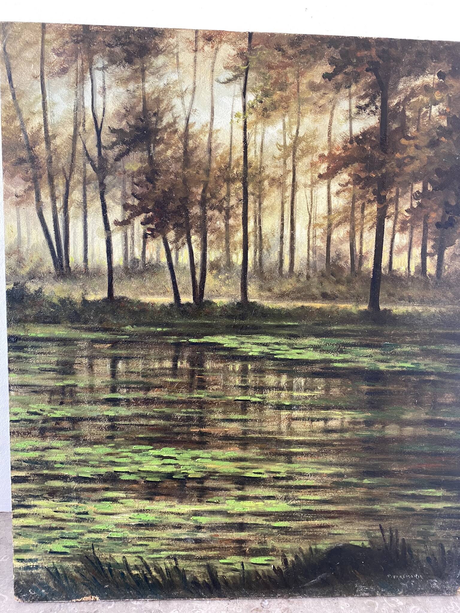 Landscape of the Fontainebleau forest