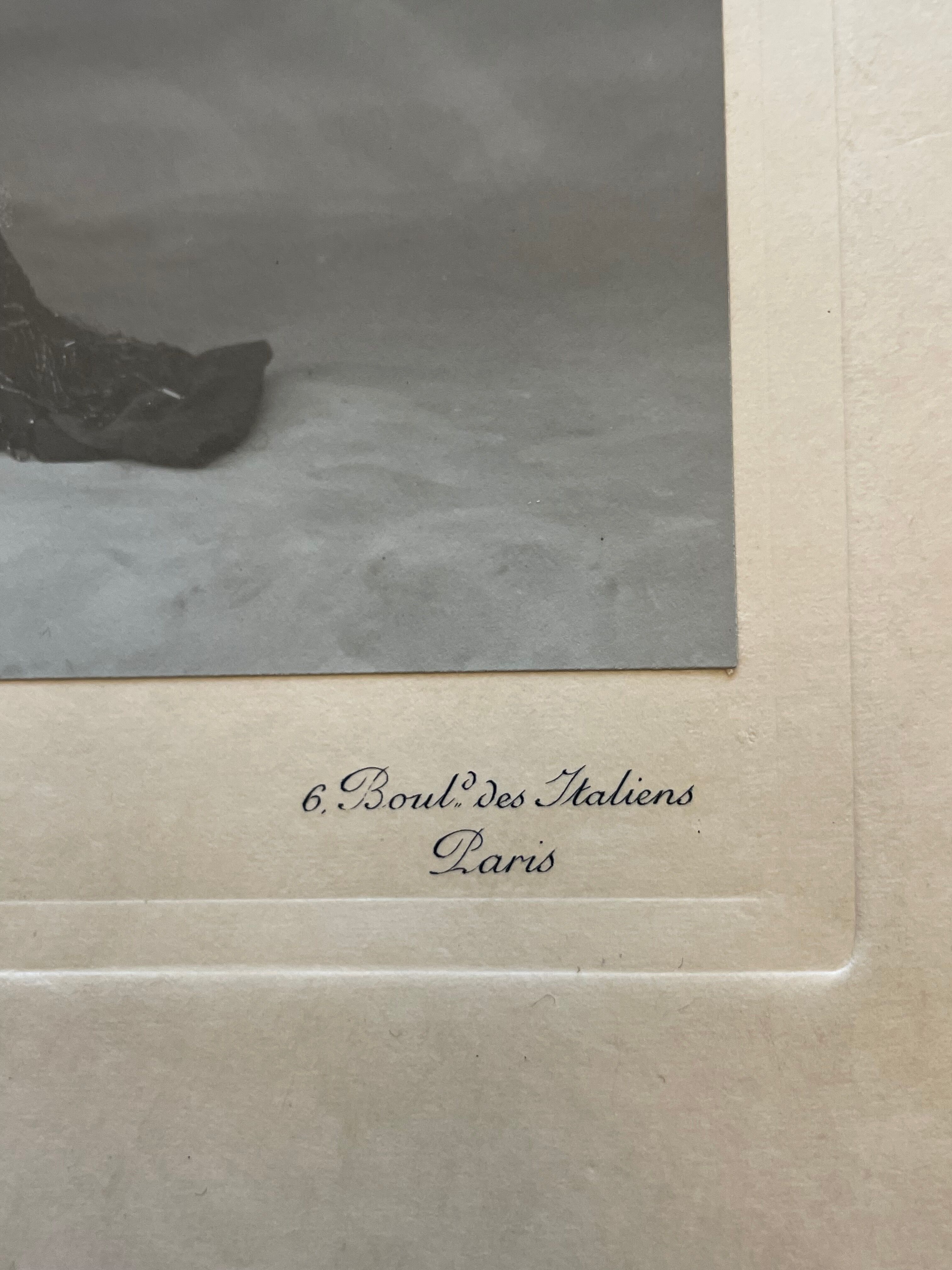 Old photography Belle Époque 1900