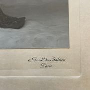 Photographie ancienne Belle Époque 1900