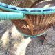 Antique large painted rattan cradle - 1900 - on wheels