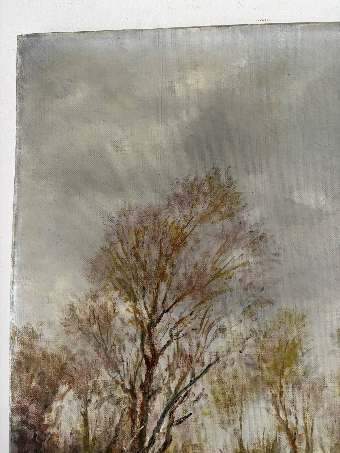 Rural landscape, oil on canvas signed F Baron