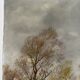 Rural landscape, oil on canvas signed F Baron