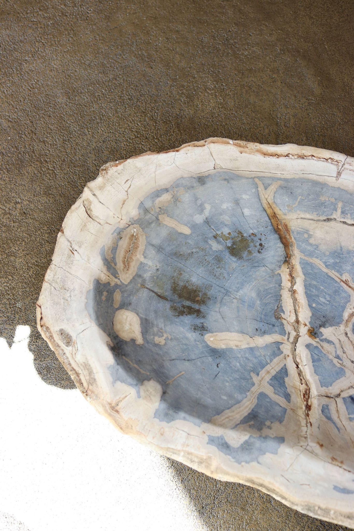 Petrified wood cup
