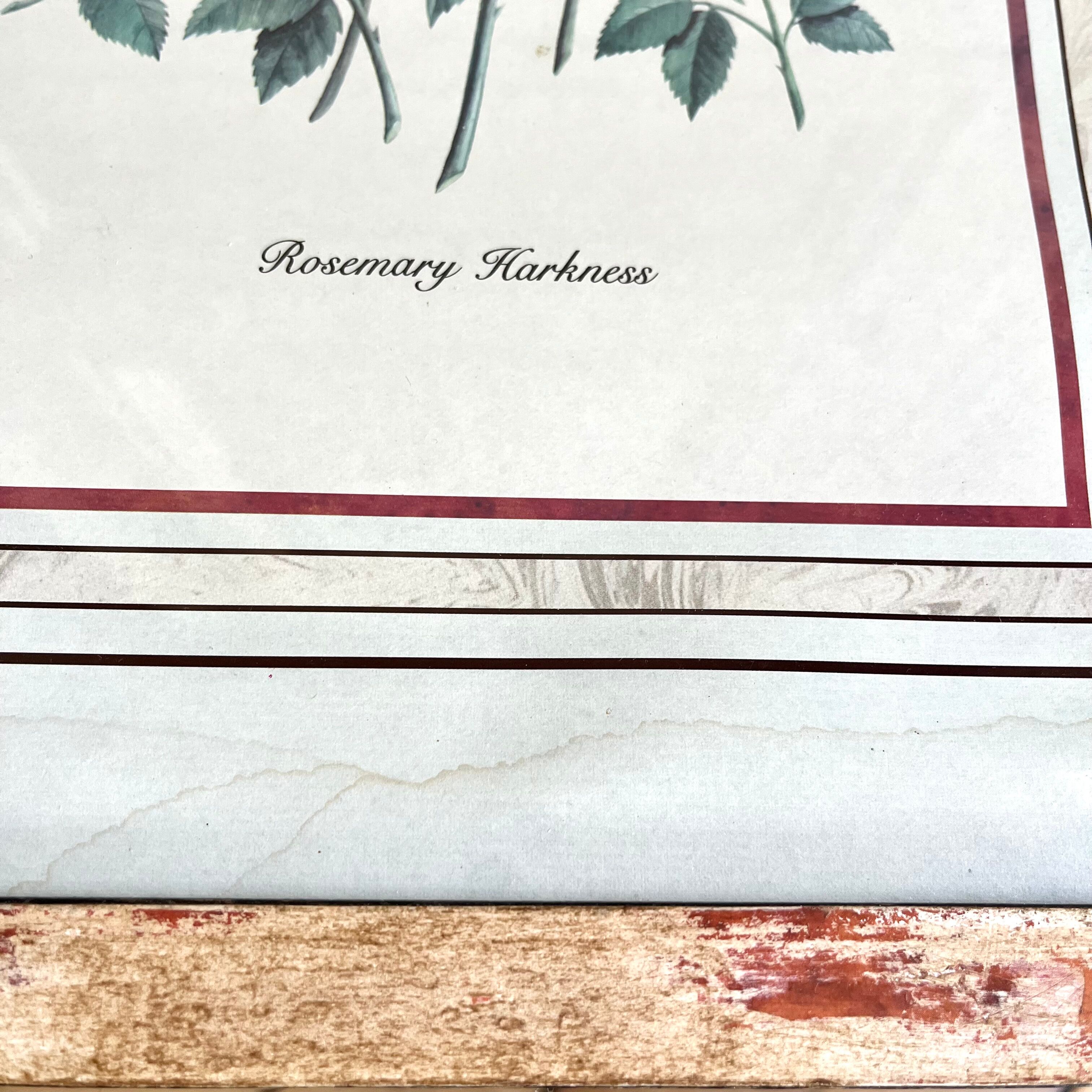 Botanical plate of roses under frame