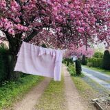 Tablecloth 100% Belgian linen and embroidered by hand