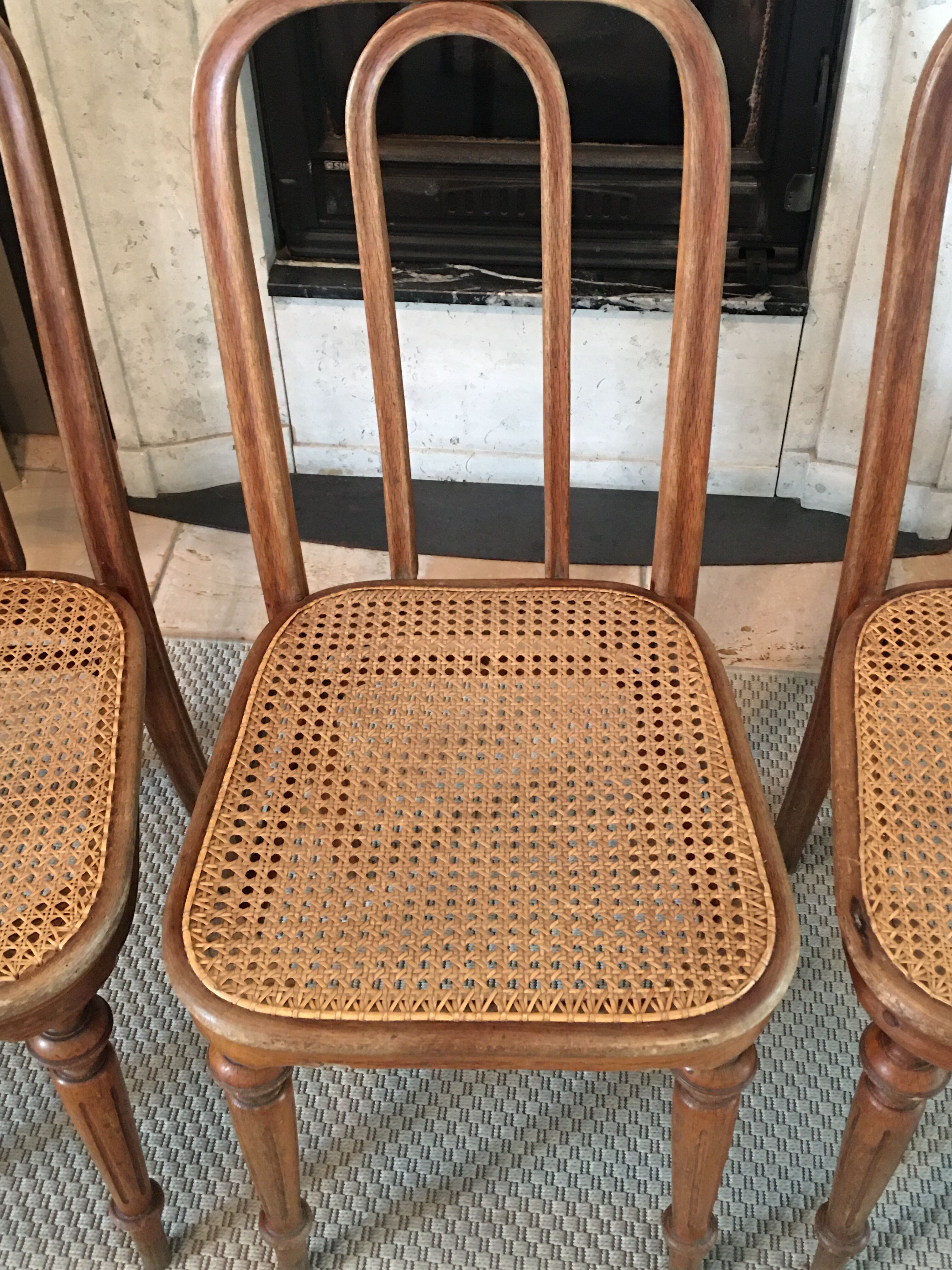 4 Thonet chairs N41