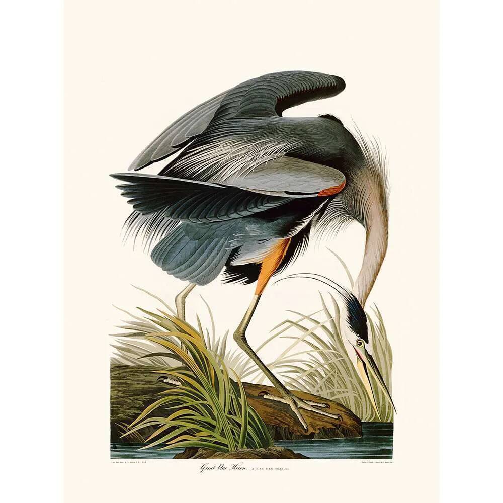 Vintage illustration of a grey heron, great heron in shades of blue.