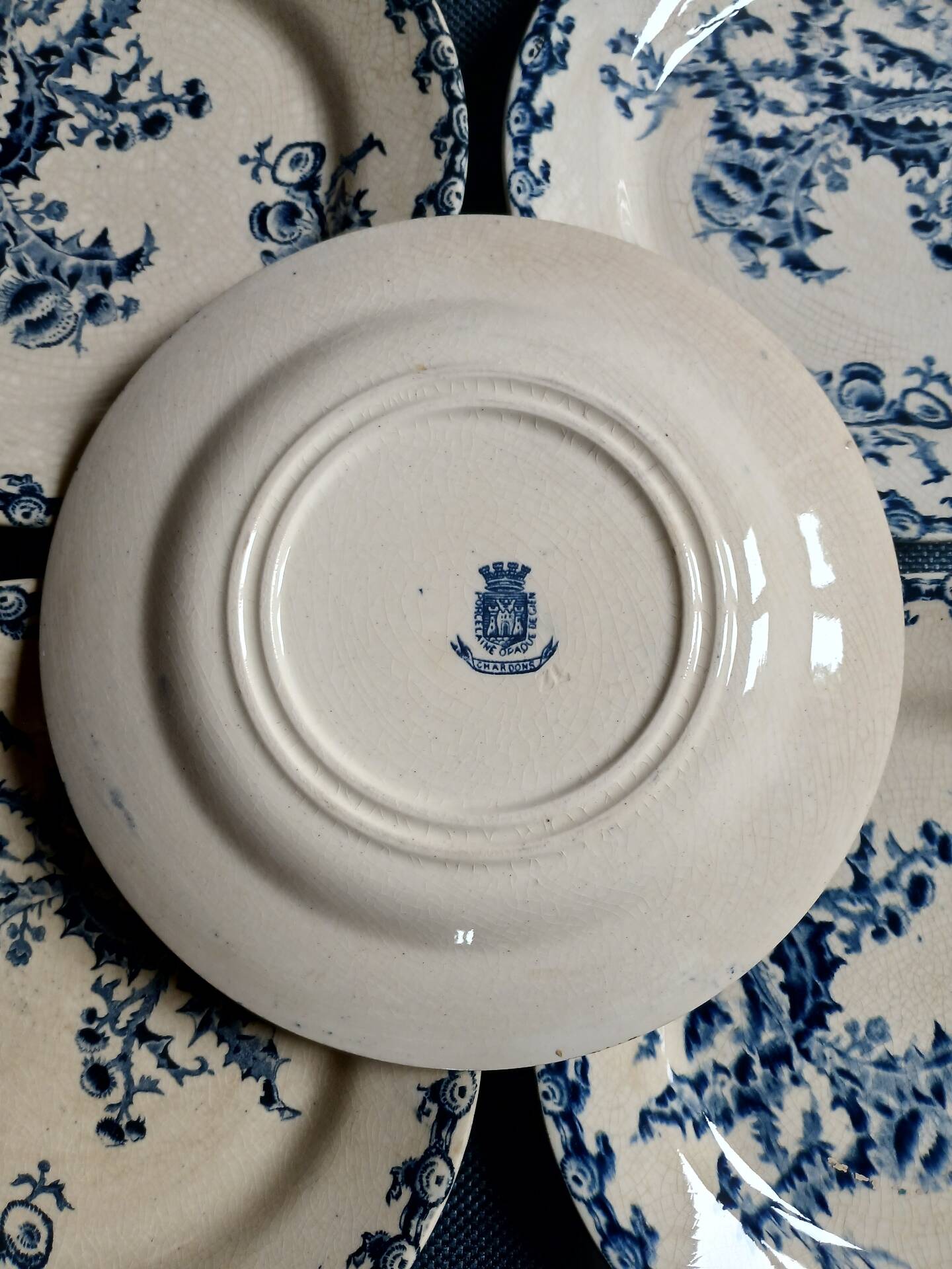 14 dinner plates + 2 "Chardons" dishes from Gien