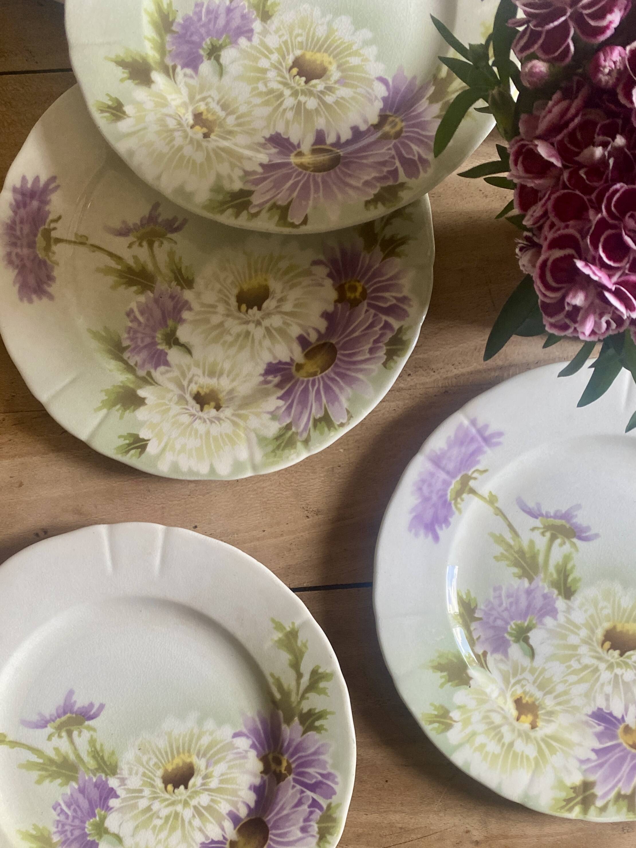 Set of 6 old flat plates - Reine Marguerite de KG Lunéville -