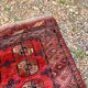 Pakistani Bukhara Carpet 152x118 Wool Mori Handcrafted Red Oriental