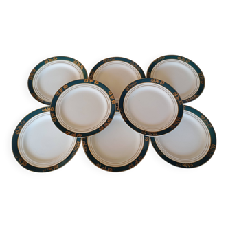 Céranord flat plates, Kléber model