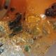 Murano flower wall light