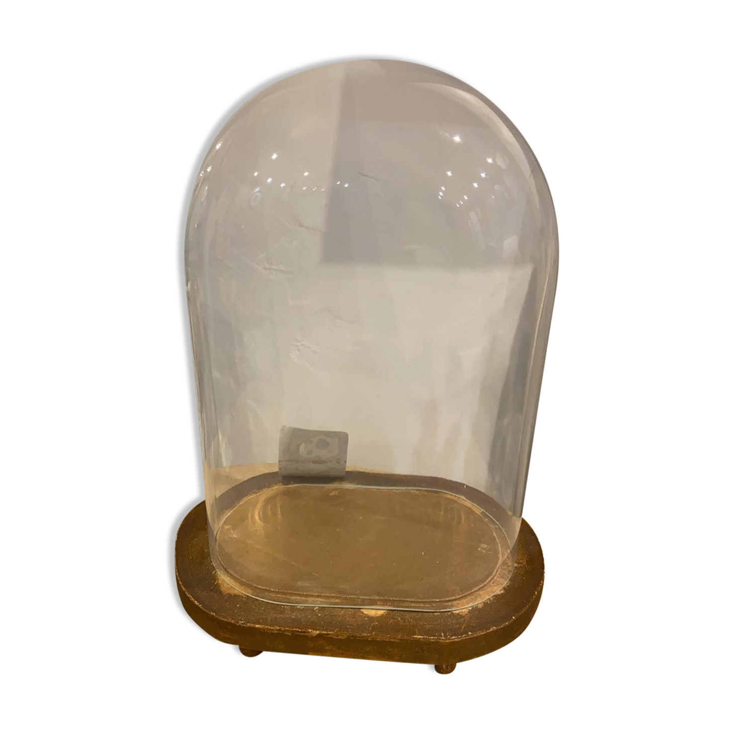 Globe