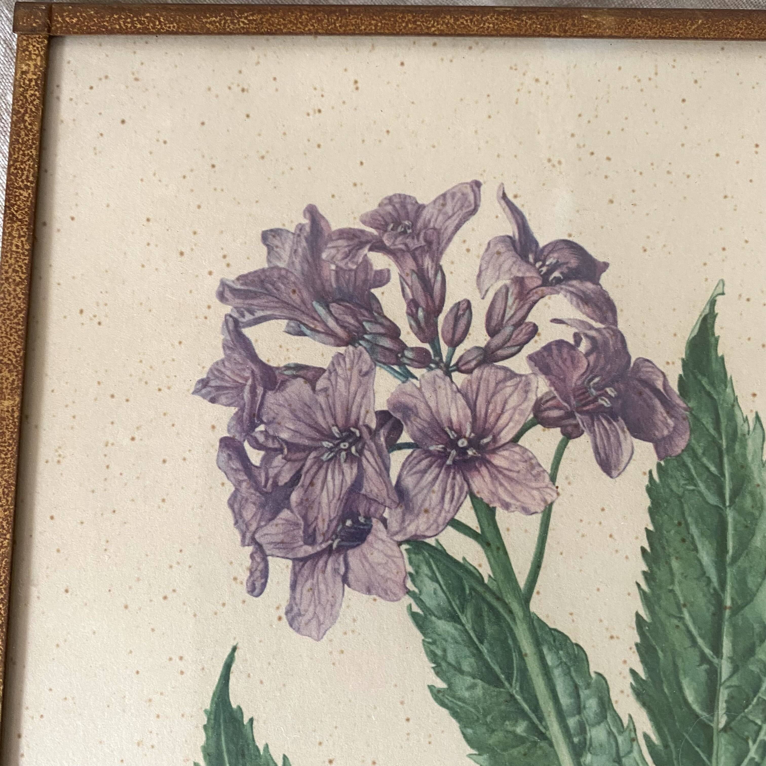Botanical posters, flower and lemon lithographs, metal frame