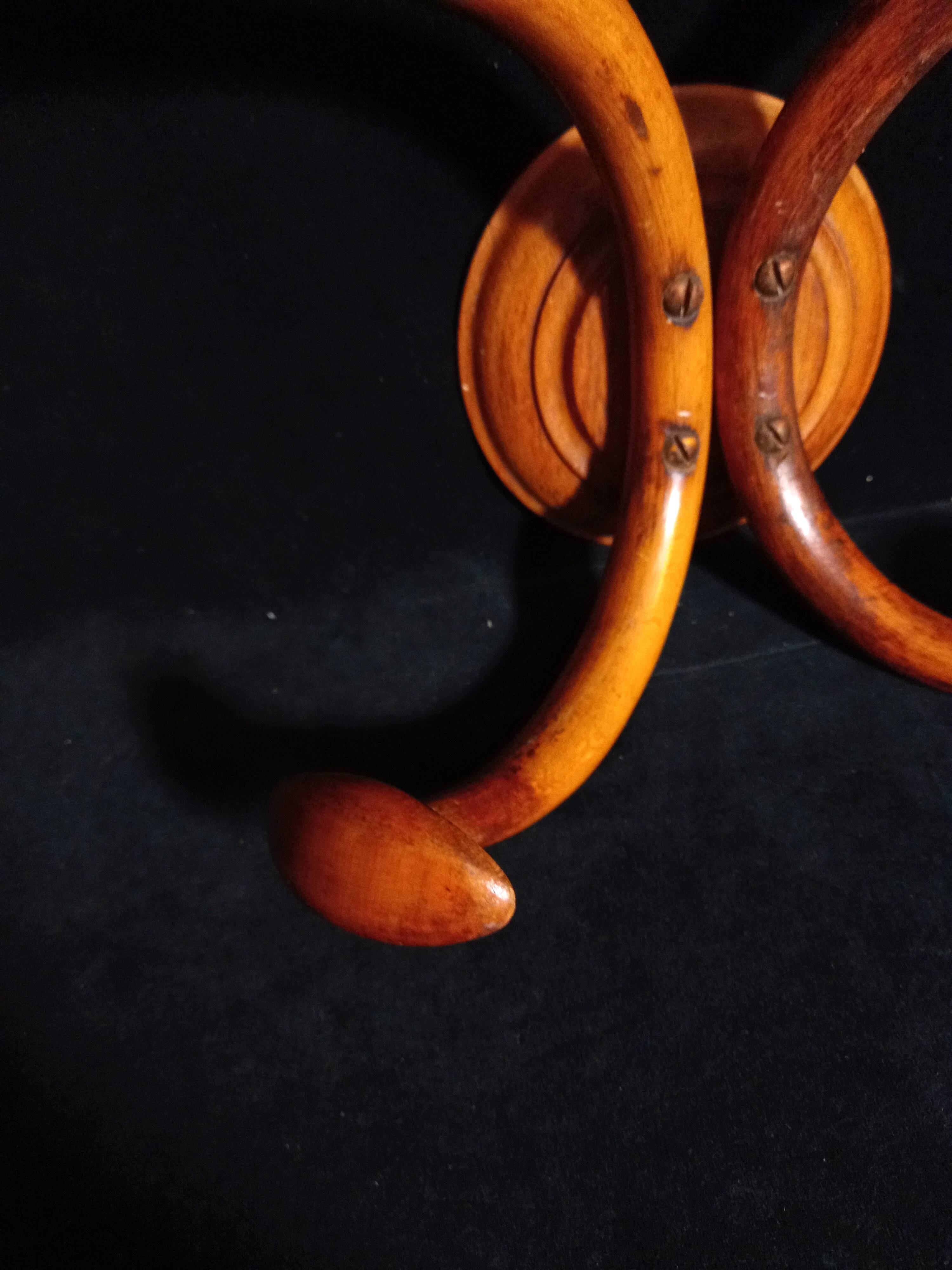 Double Art Nouveau Coat Hook in Bent Wood from Thonet
