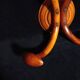 Double Art Nouveau Coat Hook in Bent Wood from Thonet