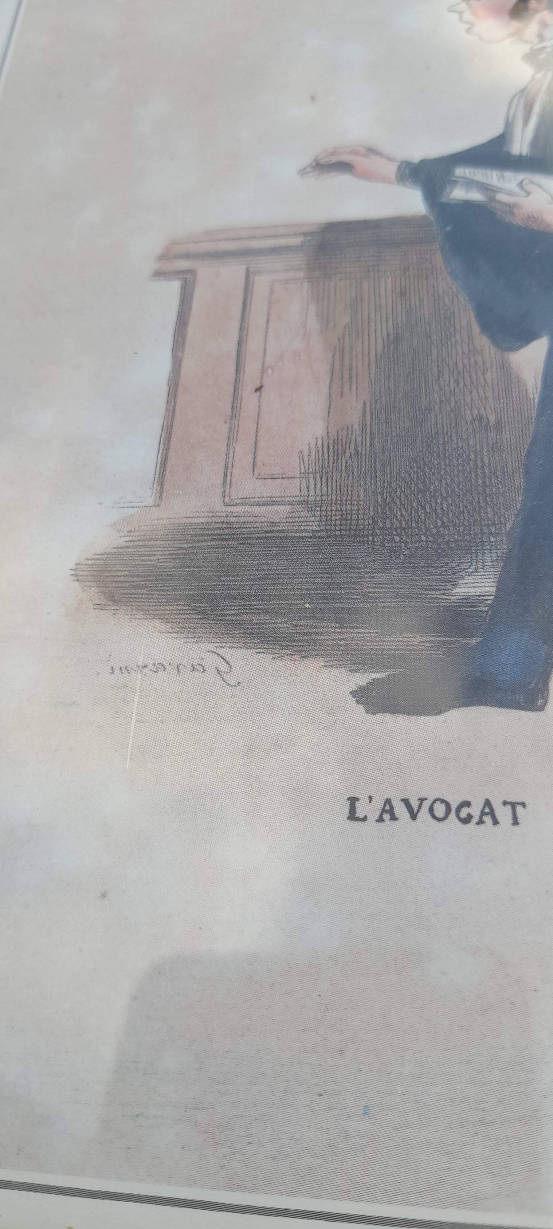 Reproduction print the avocado by Gavarni