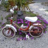 Vintage children's bike brand Dino