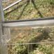 Pair of chairs La Marie by Starck for Kartell