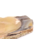 Empty pocket or ashtray in carved stone alabaster