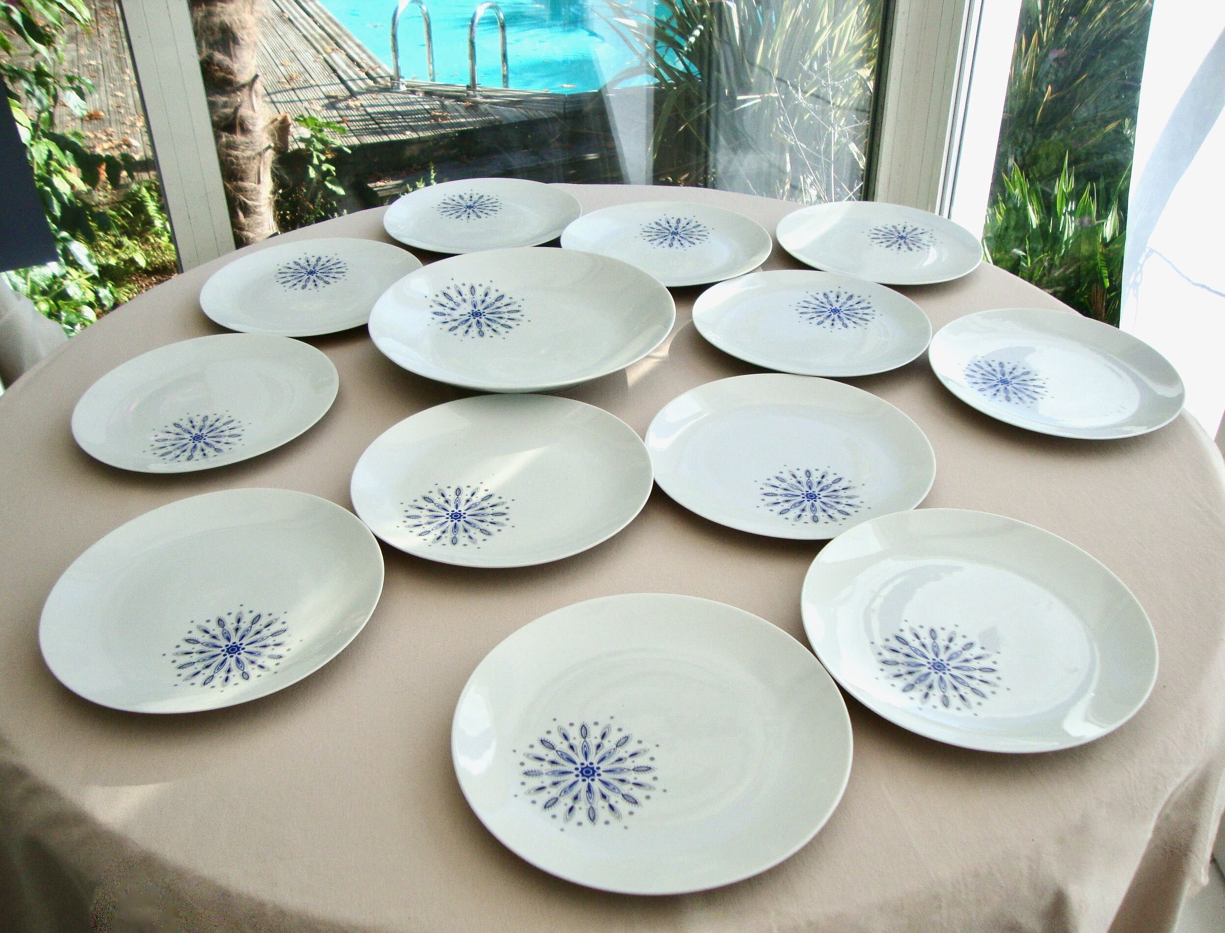 Set of 12 flat plates and 1 Bareuther dish