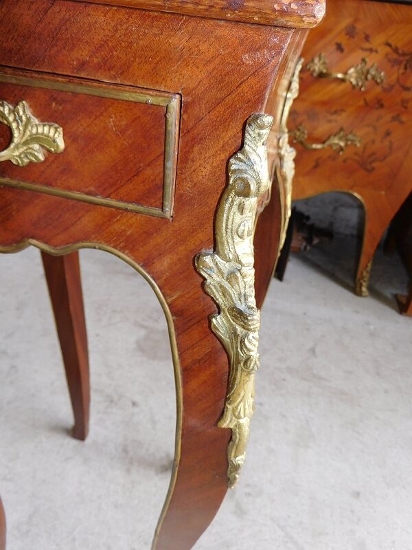 Harness in veneer and bronze