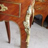 Harness in veneer and bronze