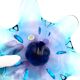Coupe Centrepiece - Solid Bohemian Crystal - Amethyst Blue