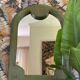 Console and mirror Vivai Del Sud, 1960s