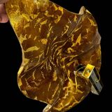 Large Pair of Murano Gilded Glass Leaf Wall Lights - Italy Circa 1980 H 67 cm