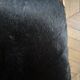 Armchair Joseph André Motte 760 Steiner France - Black horse