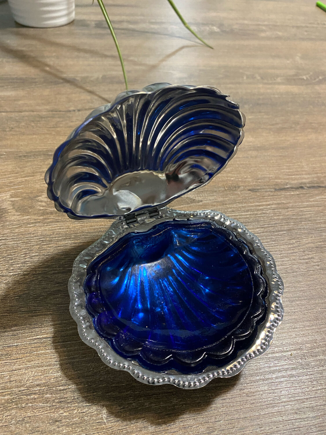 Stainless steel scallop shell butter dish