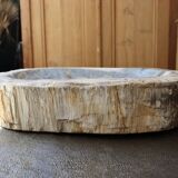 Coupe en bois pétrifié