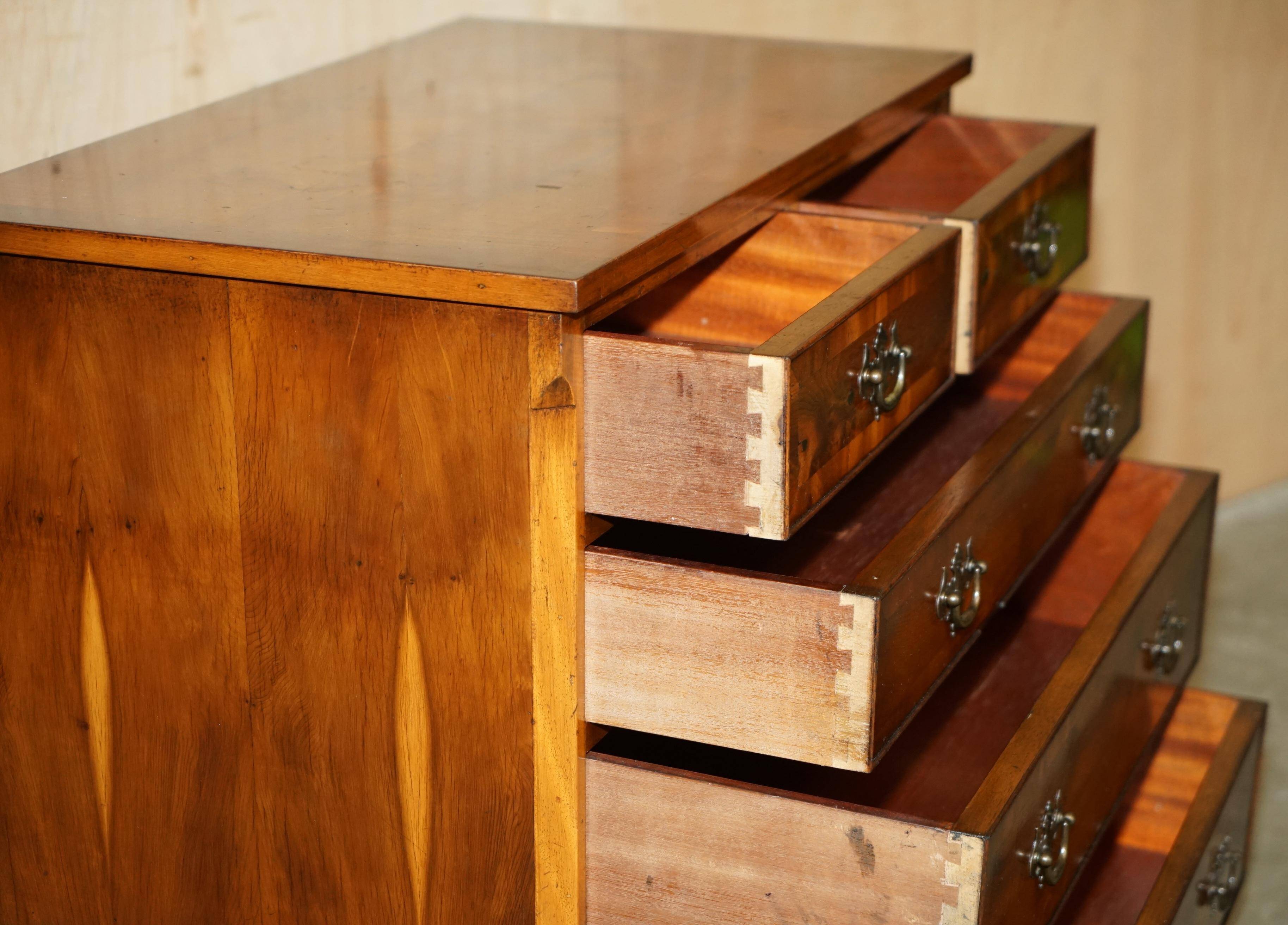 Georgian commode in yew wood with burr and burl grain, medium size.
