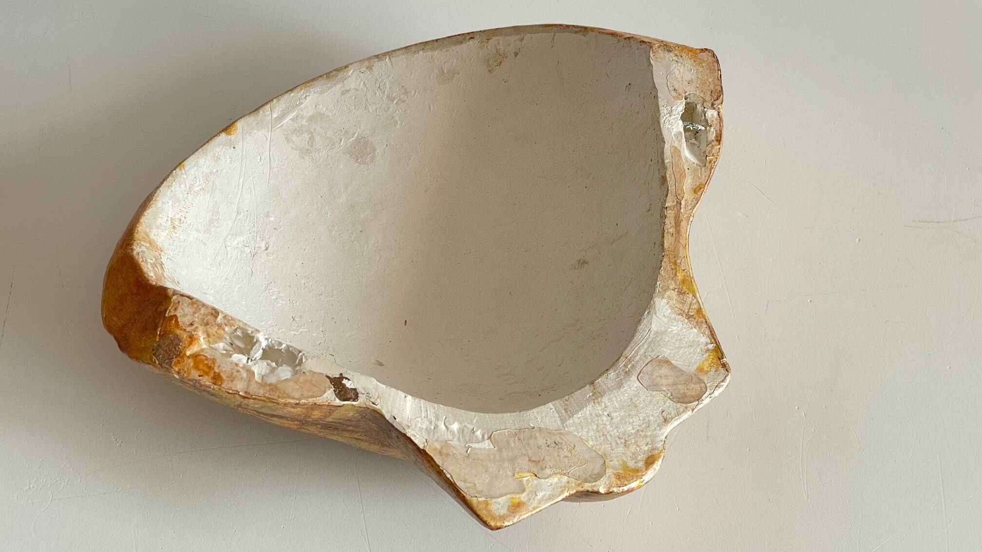 Shell wall enameled by aljezur