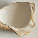 Shell wall enameled by aljezur