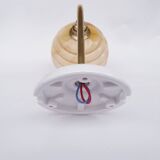 Swan neck and Clichy glass wall lamp