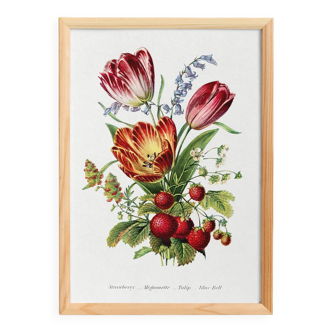 Affiche sur “fraise et tulipe”, d’après une lithographie de 1896