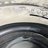 Lalique cut auriac model
