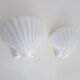 Pair of shell wall lights, in white ceramic. 80s 90s