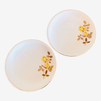 Set of 2 small vintage Bavaria plates