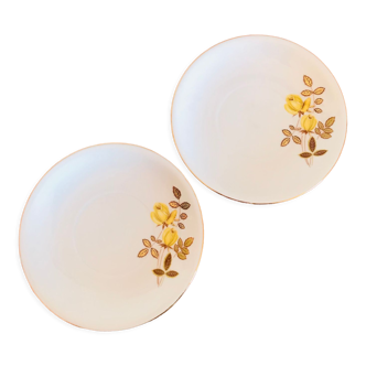 Set of 2 small vintage Bavaria plates