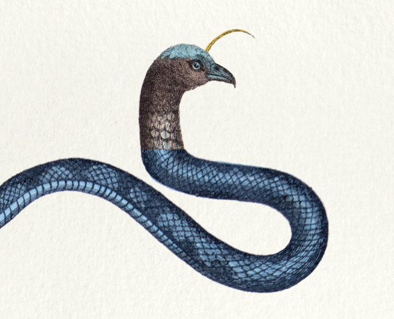 Lithography engraving vintage chimeras - 1850