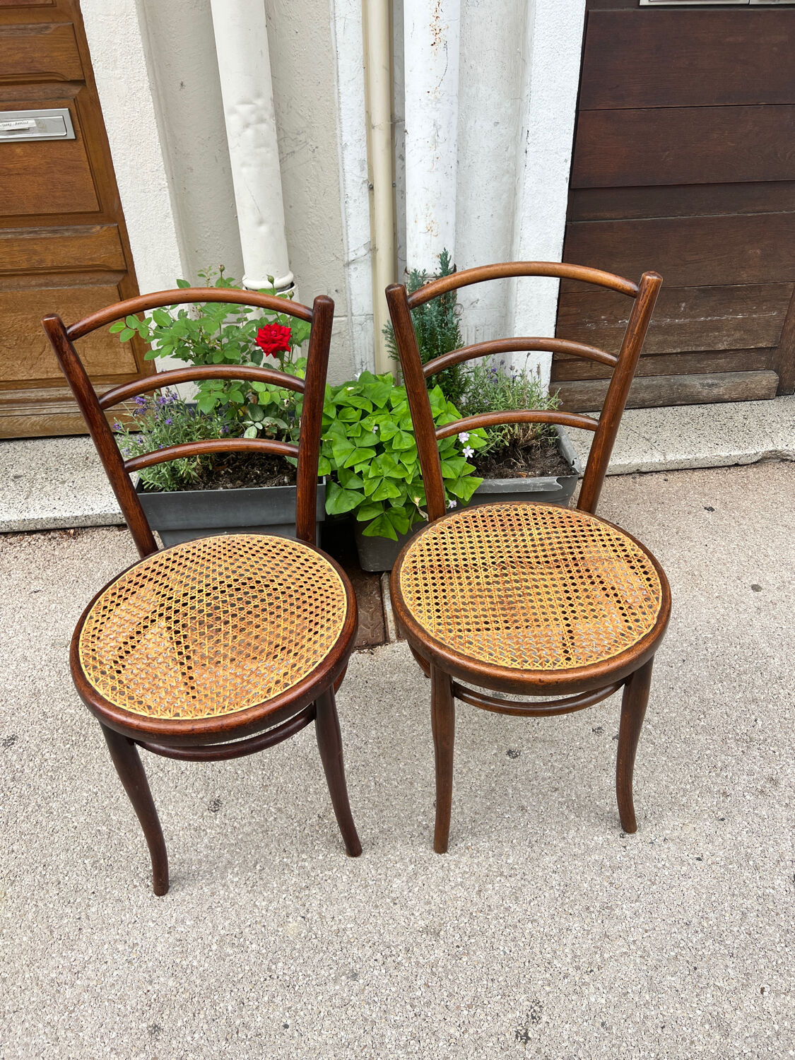 GEBRUDER THONET chairs model 17 late 19th century