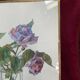 Large vintage watercolor "bouquet of roses"
